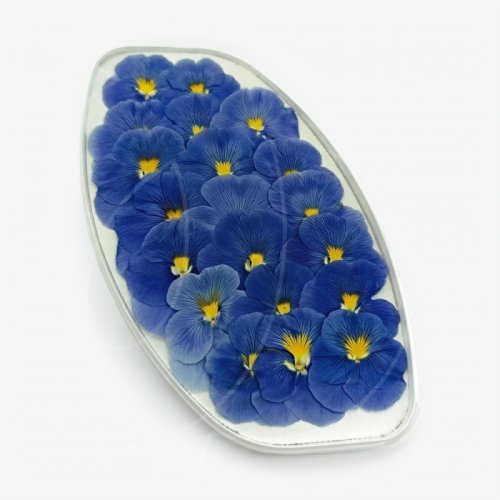 Виола обезвоженная "Голубая жемчужина" Плоская 20 шт 