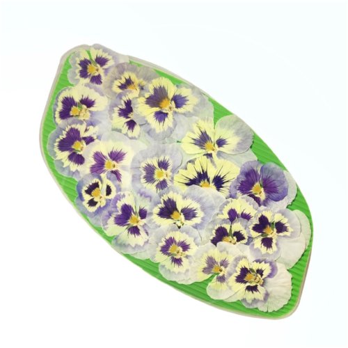 Виола обезвоженная "Ледяная сказка. День" Объёмная 15 шт 