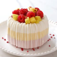 Форма силиконовая для бенто-торта Silico "Хворост" SА320